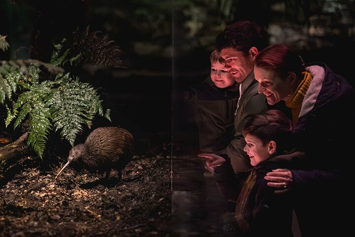 Experience the wonder of New Zealand's unique wildlife as you encounter Kiwis up close with family surrounded by lush greenery in the heart of Queenstown. Explore and learn together!